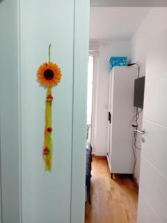 Suncokret - 7