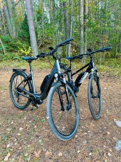 Blueberry Villa at Saimaa Lakeside - 2