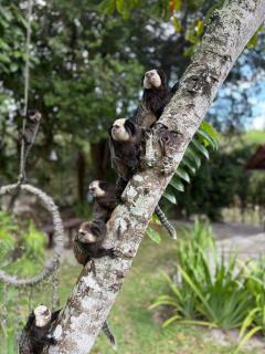 Pousada Arraial dos Sonhos - 3