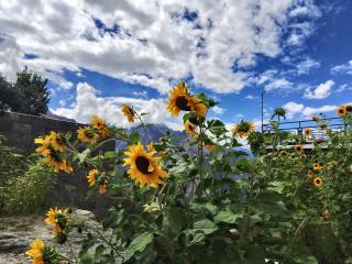 Hunza Hard Rock Resort - 4