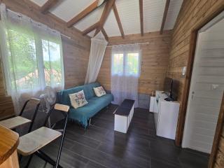 Magnifique maison en bois avec piscine - 1