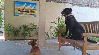 Pousada Kasabela Residence - 2