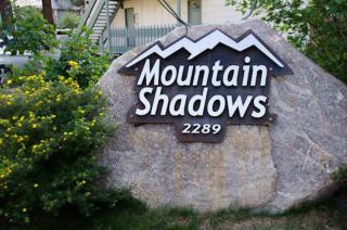 Mountain Shadows #B08 - Near Hike Bike & Ski - 8