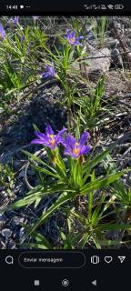 Loft completo com Bikes - 5