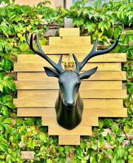 Alpenglanz Deluxe Studio - 1