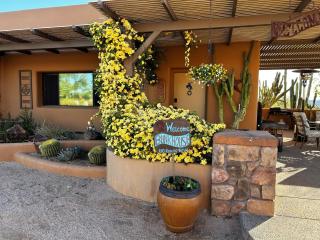 Serene & Secluded - Heart of the Sonoran Desert Bunkhouse Casita - 9