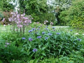 1 bed in Taunton 49569 - 1