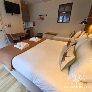 The Distinguished Squirrel - Room 4 - New Forest - 0