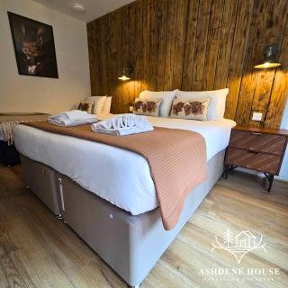 The Distinguished Squirrel - Room 4 - New Forest - 7