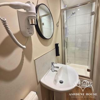 The Distinguished Squirrel - Room 4 - New Forest - 5