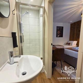 The Distinguished Squirrel - Room 4 - New Forest - 4