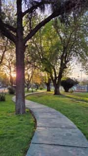 Malbec Departamento - 2