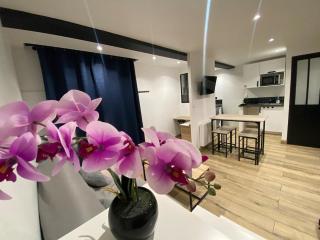 Fully equipped studio4 people 1 bed and 1 sofa bed - 9