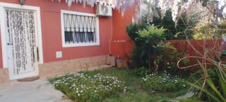 Bosque - 7