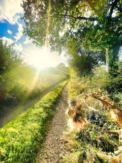 La Résidence Sycomorette - 8