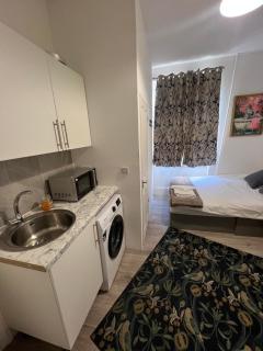 Hampstead studio - 2