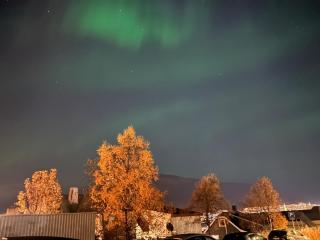 Artic - TAG apartments - 6
