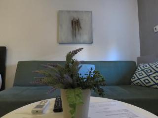 Oasis One - City Garden Studio - Easy Parking & Walk to Center - 300m from University - 0