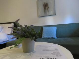 Oasis One - City Garden Studio - Easy Parking & Walk to Center - 300m from University - 2