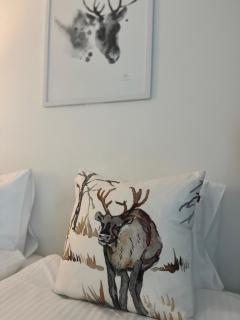 Arctic- apartment Evakko - 9