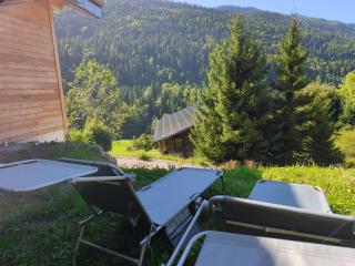 Chalet Armande, vue Forêt et montagnes - Saint-Jean-de-Sixt - 2