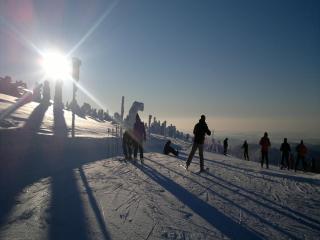 Attractive Apartment in Rokytnice nad Jizerou near Ski Area - 4