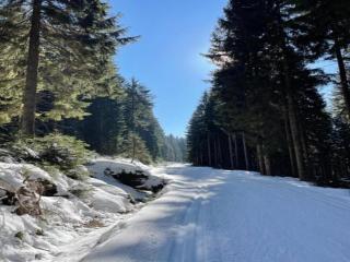 Attractive Apartment in Rokytnice nad Jizerou near Ski Area - 3