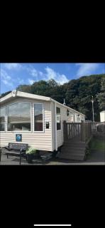 20 Chestnut Grove - 6