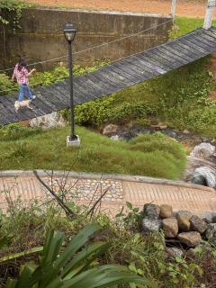 Tiny Cozy Cabin las moras - 7