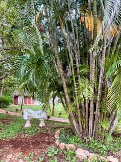 Quinta Flor de Mayo - 2