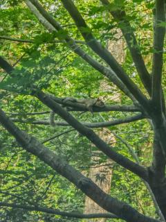 Rosewood Loft Entire Building - 3