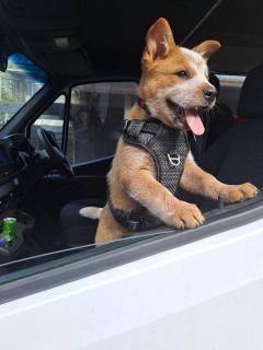 Ingenia Holidays Sydney Hills - 1