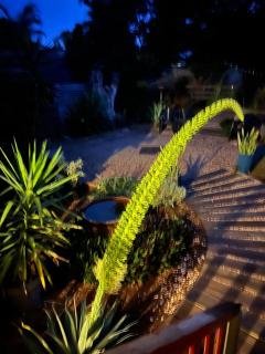 The Retreat Moranbah - 3