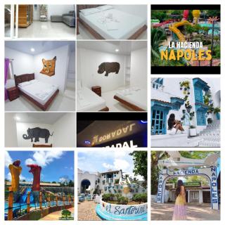 Hotel vacation Doradal - 7