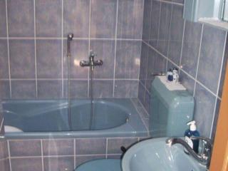 One Bedroom Apartment - 5