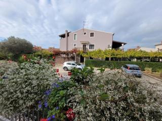 Apartmetns Villa Dina 2 - 1