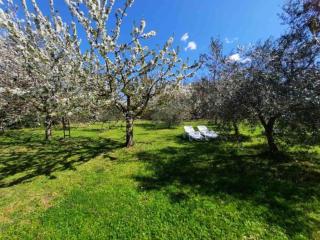 House in Nature - House - 2
