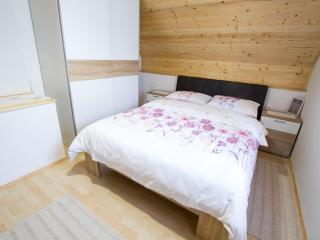 Sunny Two Bedroom Retreat in Beautiful Bizeljsko - Two Bedroom Country House - 1