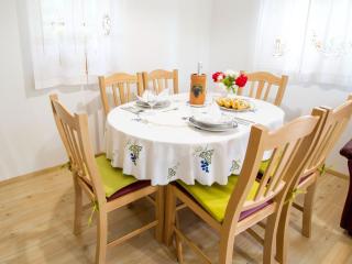 Sunny Two Bedroom Retreat in Beautiful Bizeljsko - Two Bedroom Country House - 7