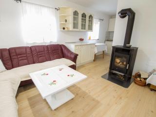 Sunny Two Bedroom Retreat in Beautiful Bizeljsko - Two Bedroom Country House - 0