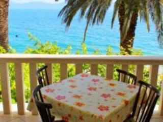 Apartments Pansion Franka 3 - Apartment 1A - 3