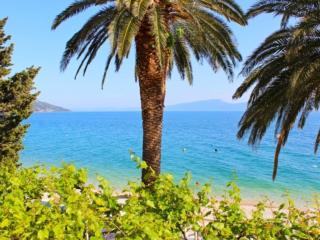 Apartments Pansion Franka 3 - Apartment 1A - 1