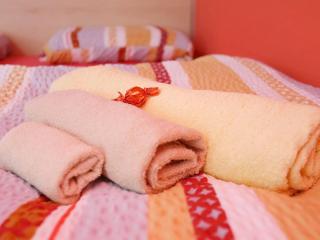 Elegant and Stylish Retreat Apartments with Terrace - Three Bedroom Apartment with Terrace - 4