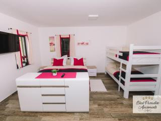 Bled Prestigious and Stylish Apartments - Classic Studio Apartment with Terrace - 4