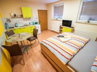 Elegant and Stylish Retreat Apartments with Terrace - Studio Apartment with Terrace - 3