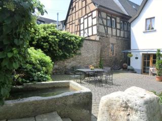 Old Winemaker's House Müntnich - 6