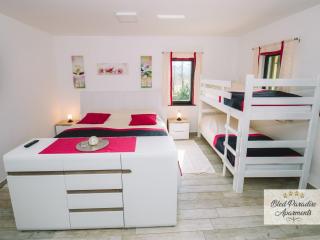 Bled Prestigious and Stylish Apartments - Standard Studio Apartment with Terrace - 2