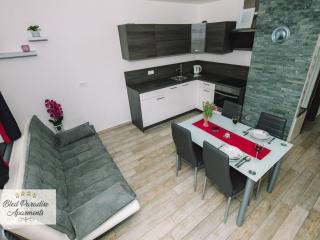 Bled Prestigious and Stylish Apartments - Standard Studio Apartment with Terrace - 6