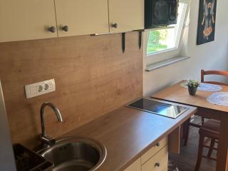 Meadow Tranquil Apartments with Evergreen Garden - Studio Apartment - 9