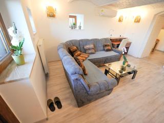 Relax and Rustic Apartments with Terrace - Classic One Bedroom Apartment with Terrace - 4